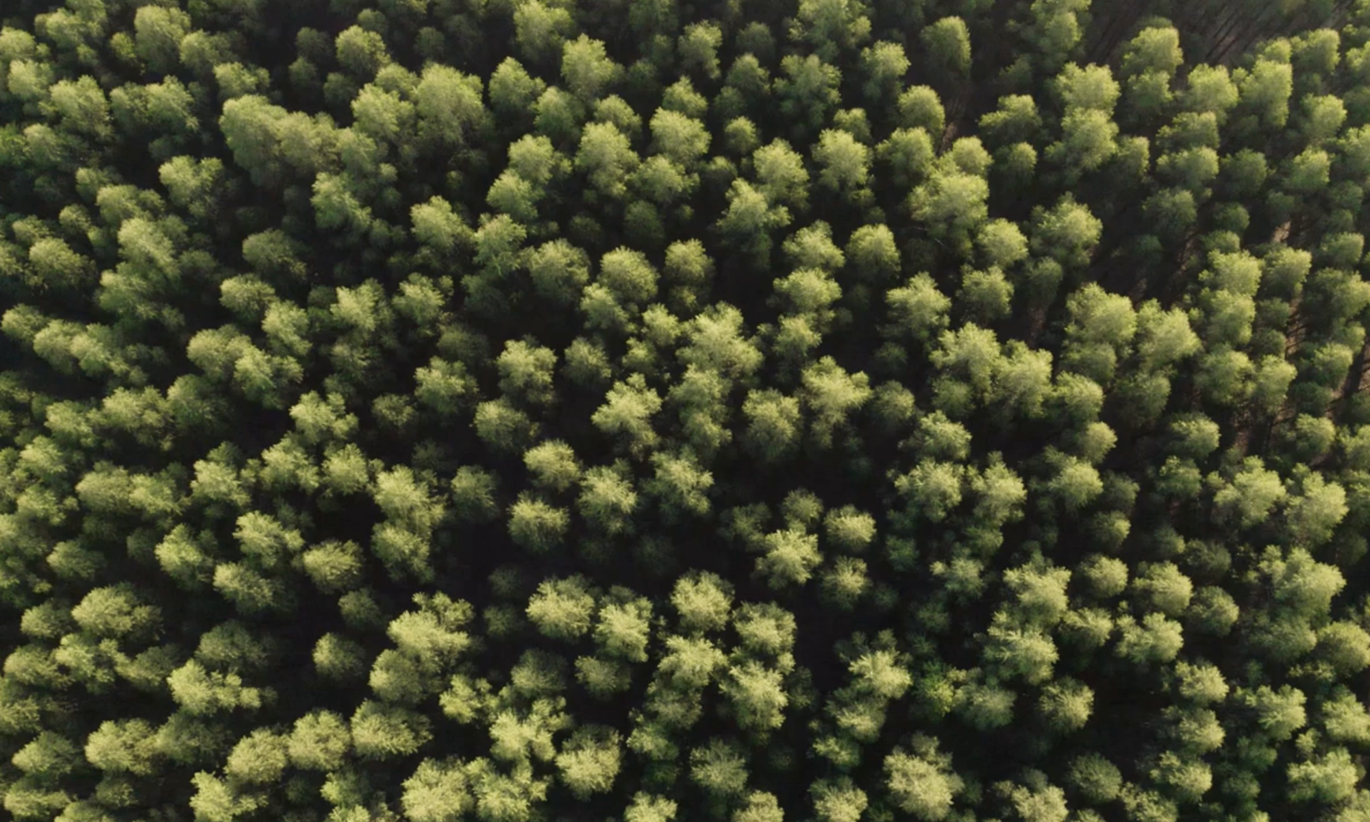 Multispektralbilder Avalon